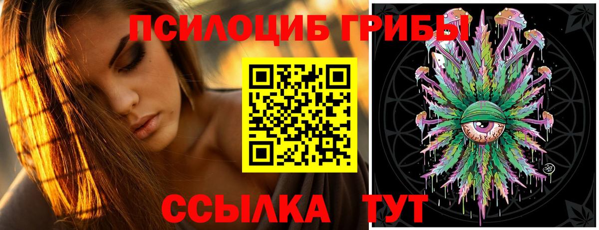 Галлюциногенные грибы Psilocybe  Вход с VPN  купить наркотик  Кашира  Галлюциногенные грибы мицелий 